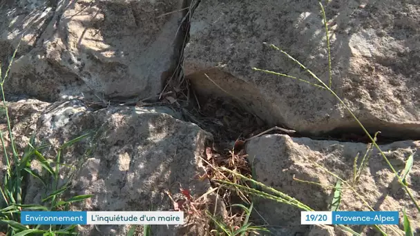 Dans le Vaucluse à Caderousse le maire demande une dérogation pour entretenir la digue de la commune