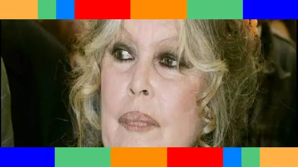 Brigitte Bardot critique l'hommage à Jean Paul Belmondo  « Je ne pense pas qu'il aurait aimé cela »