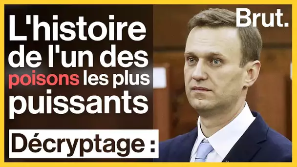 L'histoire du Novitchok, probable responsable du coma d'Alexeï Navalny