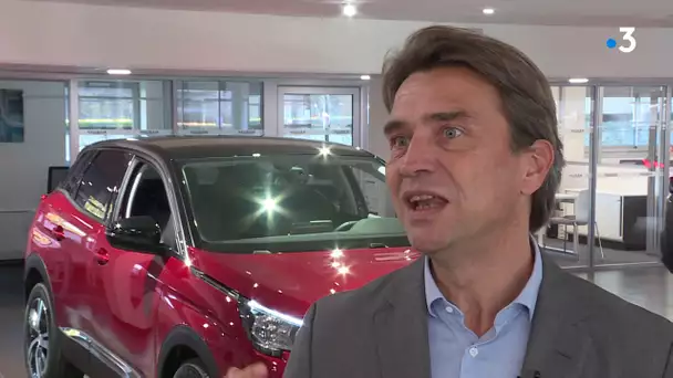 PARIGO : Les SUV pourquoi ces voitures ont du succès ?