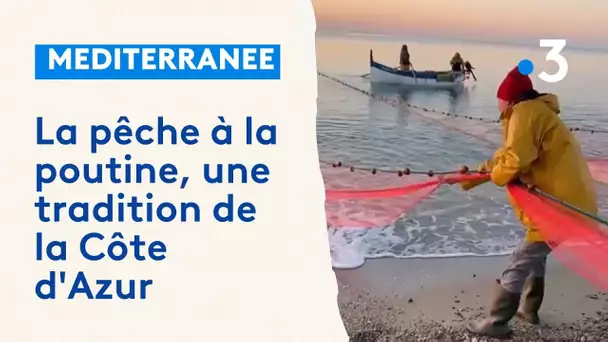 La pêche à la poutine, une tradition de la Côte d'Azur