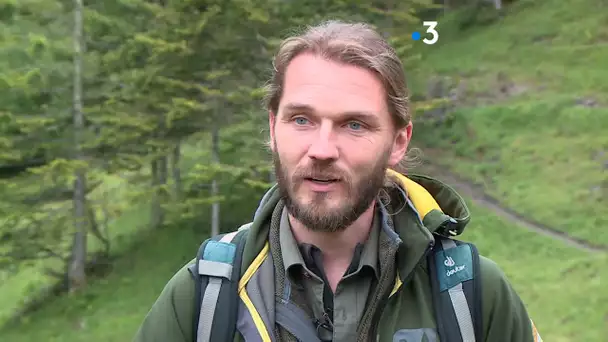 En Ariège, une association organise une randonnée sur les traces de l'ours