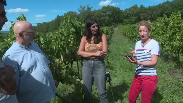 PrioriTerre Vie du sol: Voyage au centre des microbiotes et de l'agriculture régénérative