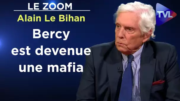 Macron termine de liquider nos institutions - Le Zoom - Alain Le Bihan - TVL