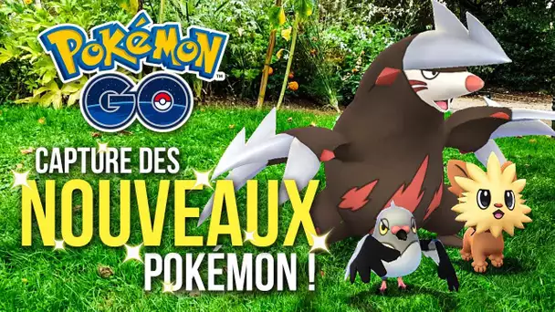 LA 5ÈME GÉNÉRATION POKEMON GO EST LÀ ! ~ Captures, Raids, Oeufs & Shiny ?