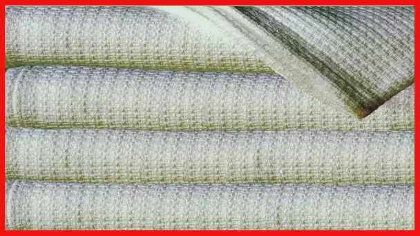 Sun Yin 100% Cotton Soft Cozy Full/Queen Blanket, Light Green, Sage, Model: 70353