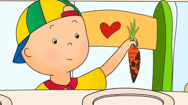 Cueillir des Carottes | Caillou en Français