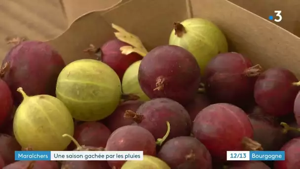 Nièvre : la pluie complique la tâche des maraîchers et fait grimper les prix