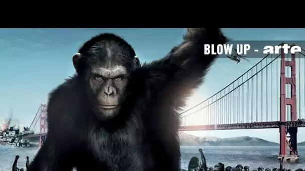 Le Singe au cinéma - Blow up - ARTE