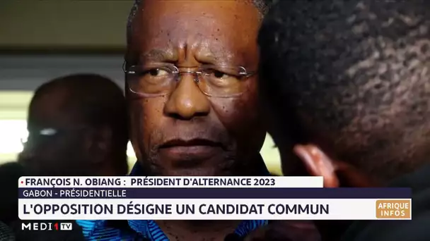 Présidentielle au Gabon : L´opposition désigne un candidat commun