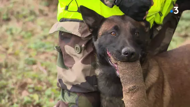 Feuilleton. En immersion avec les gendarmes de Haute-Saône 2/4