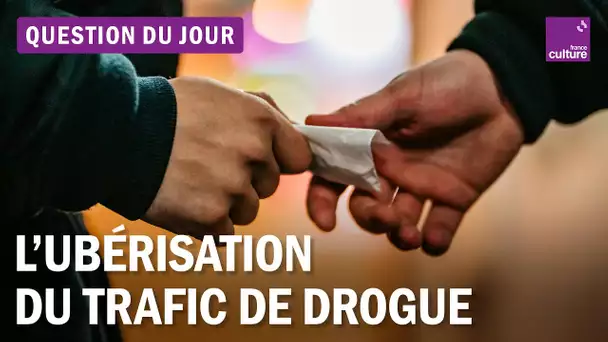 Trafic de drogue : comment s’organisent les nouveaux réseaux criminels ?