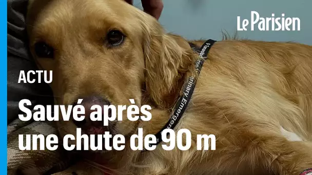 L'émouvant sauvetage de Leo, un chien hélitreuillé après avoir chuté d'une falaise