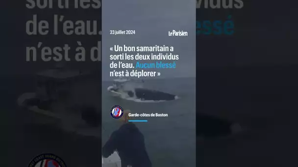 Aux États-Unis, une baleine saute et s'écrase sur un bateau de pêcheurs