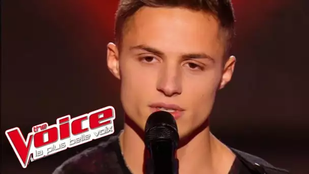 One Direction – Little Things | Sacha Perez | The Voice France 2016 | Blind Audition