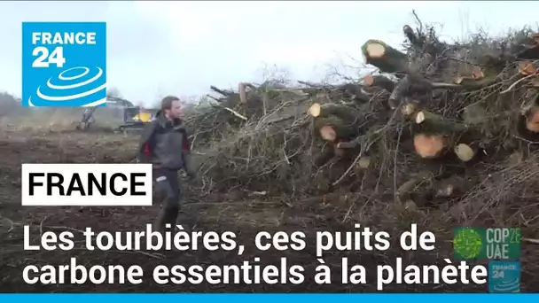 France : les tourbières, ces puits de carbone essentiels à la planète • FRANCE 24