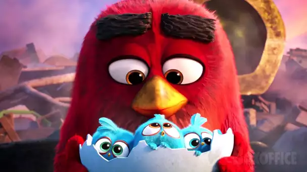 Les scènes les plus adorables dans Angry Birds 🌀 4K