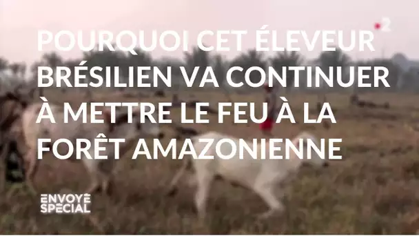 Envoyé spécial. Pourquoi cet éleveur va continuer à mettre le feu à la forêt amazonienne