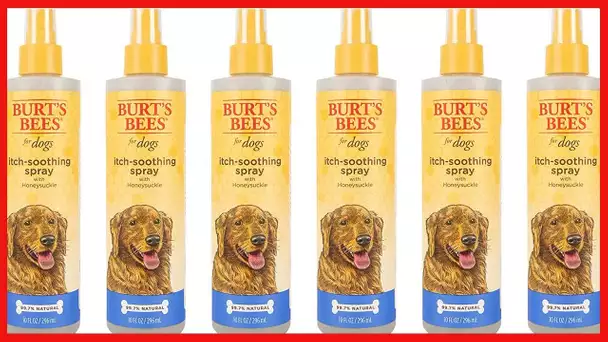 Burt's Bees for Dogs Itch Soothing Spray with Honeysuckle | Best Anti-Itch Spray for Dogs With Itchy