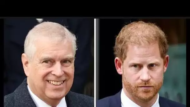 Le prince Andrew « pose moins de problèmes » que le prince Harry car il « n’a pas révélé de secrets