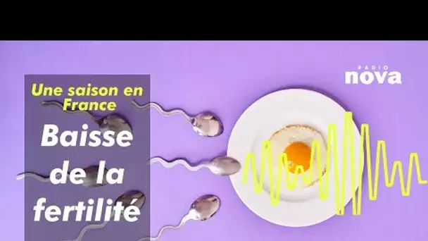 Baisse de la fertilité : pourquoi est-il plus difficile de faire des enfants ?