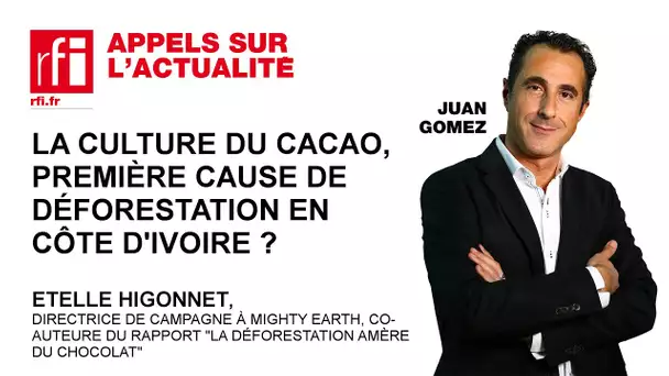 La culture du cacao, première cause de déforestation en Côte d’Ivoire ?