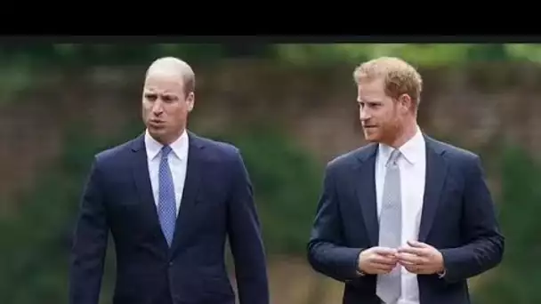 La «confrontation» de William et Harry sur Meghan a conduit les Sussex à se retirer du voyage à Balm