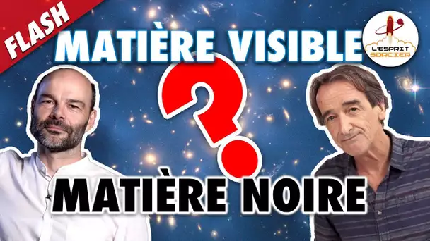 MATIÈRE VISIBLE ET MATIÈRE NOIRE - Flash #4 - L'Esprit Sorcier