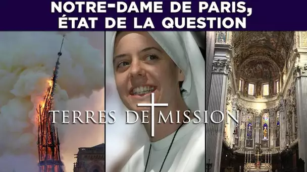 Notre-Dame de Paris, état de la question - Terres de Mission n°132
