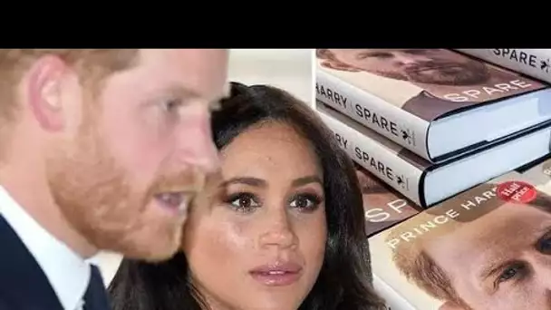 L'accord de quatre livres alléchant de Harry et Meghan montre la "grande entreprise" de la famille r