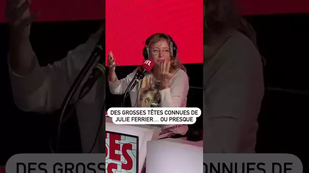 Des Grosses Têtes connues de Julie Ferrier… ou presque