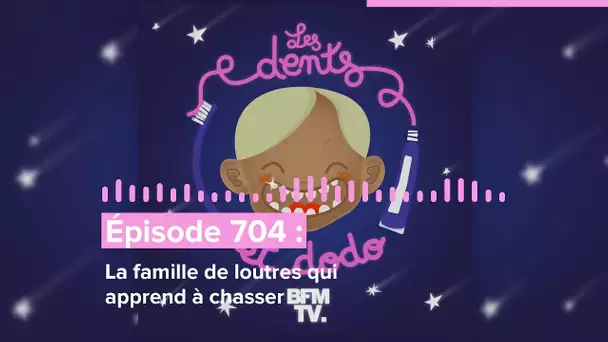 Les dents et dodo - “Épisode 704 : La famille de loutres qui apprend à chasser”