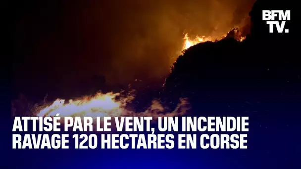 Corse: attisé par les vents violents, un incendie a ravagé au moins 120 hectares cette nuit