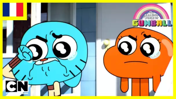 Le Monde Incroyable de Gumball 🇫🇷 | Le Cœur