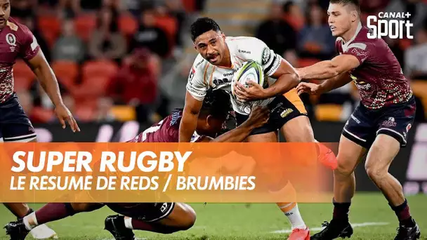 Le résumé de Reds / Brumbies - Super Rugby