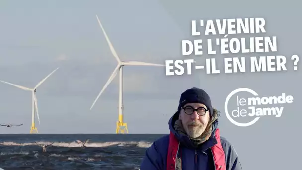 Jamy visite le premier parc éolien off-shore de France !