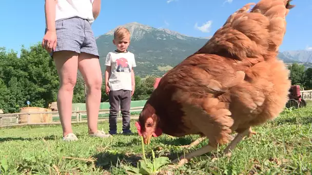 Série camping : des vacances entre chèvres, poules et potager, à Baratier dans les Hautes-Alpes