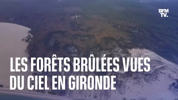 Incendies en Gironde: les images des forêts brûlées vues du ciel