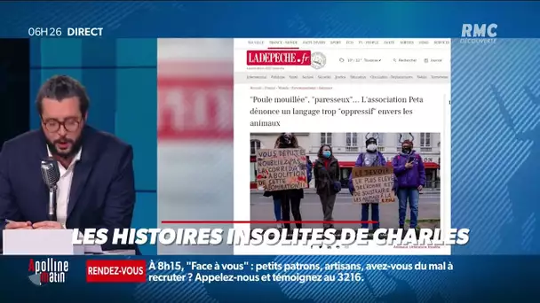 Les défenseurs ne veulent plus qu'on utilise des expressions comme "paresseux" ou "cochon"