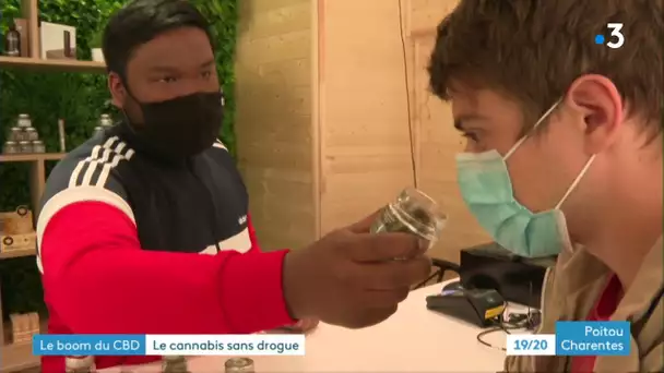 Poitiers : boom du CBD, molécule extraite du cannabis