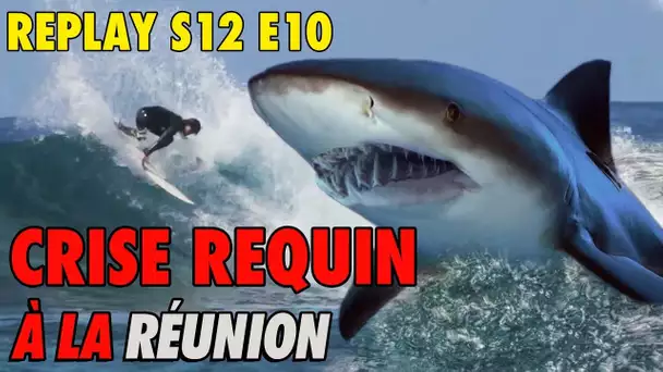 REPLAY S12 E10 : CRISE REQUIN A LA REUNION