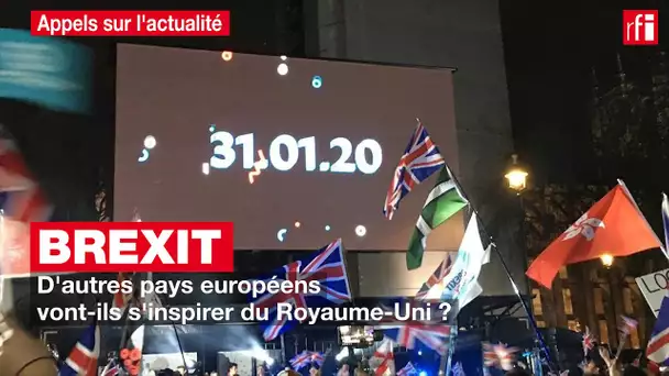 Brexit : d'autres pays européens vont-ils s'inspirer du Royaume-Uni ?