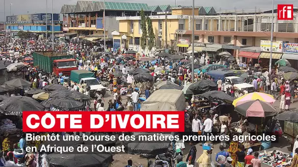 Côte d'Ivoire : bientôt une bourse des matières premières agricoles en Afrique de l'Ouest