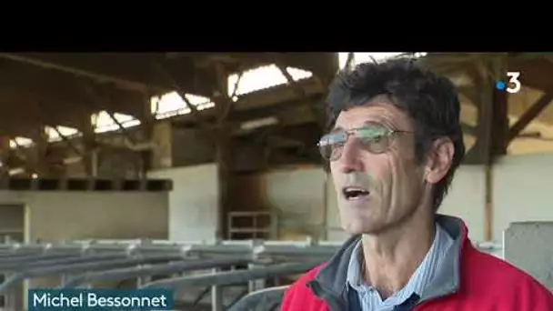 Tuberculose bovine : menace permanente pour les élevages de Nouvelle-Aquitaine