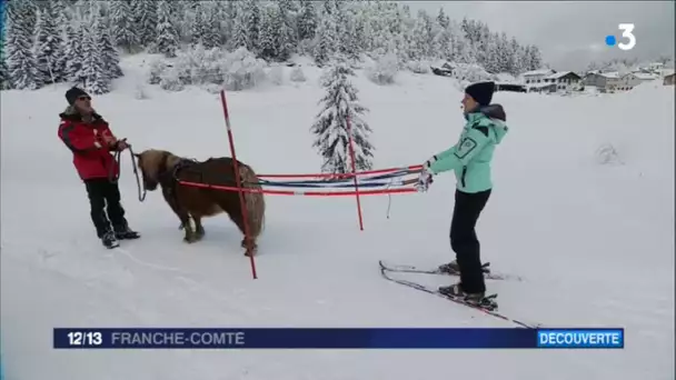 C&#039;est votre tour : initiation au ski joëring aux Moussières, dans le Haut-Jura