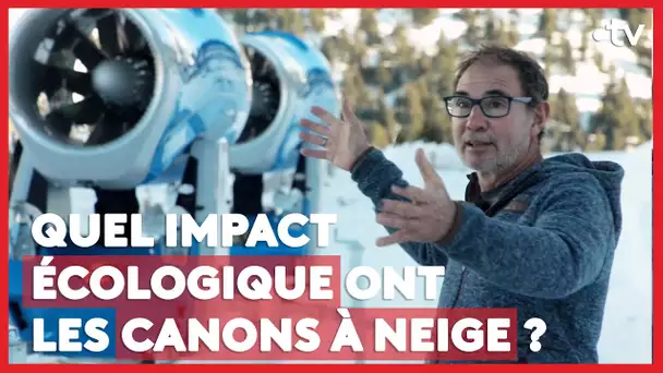 Quel impact écologique ont les canons à neige ? (LE + D'ENVOYÉ SPÉCIAL)