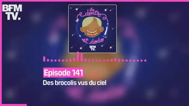Episode 141 : Des brocolis vus du ciel - Les dents et dodo