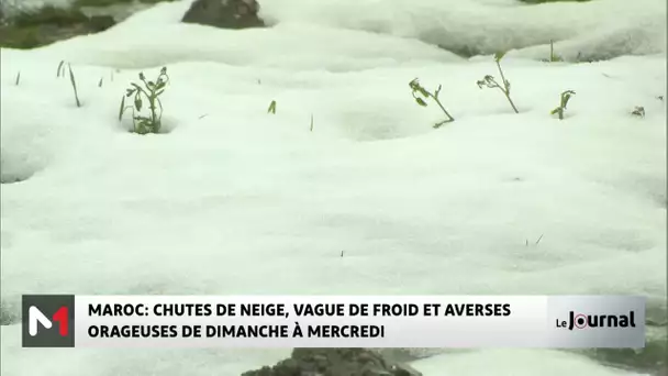 Alerte météo : Chutes de neige, vague de froid et averses orageuses dans plusieurs provinces