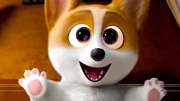 ROYAL CORGI Bande Annonce du Film en Français ! (Dessin Animé, Animation)