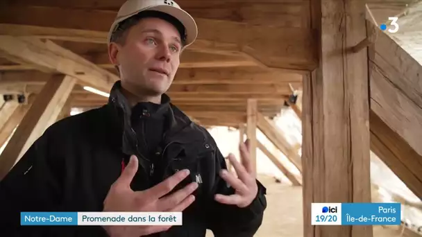 Notre Dame de Paris : La Charpente et sa foret de 1000 Chênes